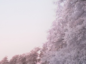 20130202-190812.jpg